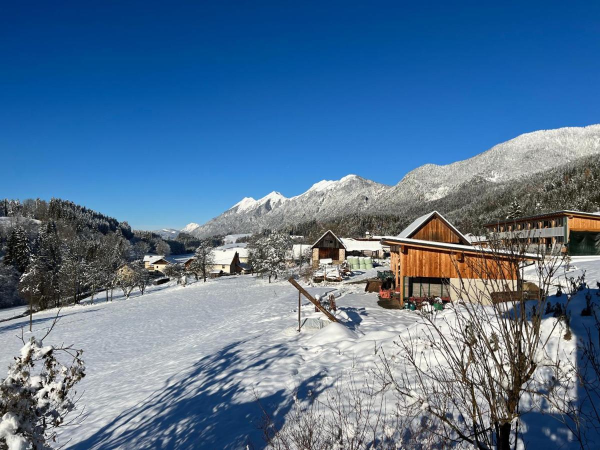 Villa Haus Romsicht Karinthie Kerschdorf Esterno foto