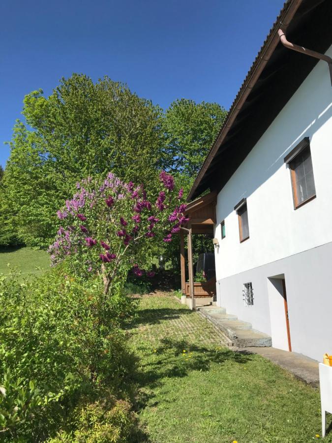 Villa Haus Romsicht Karinthie Kerschdorf Esterno foto